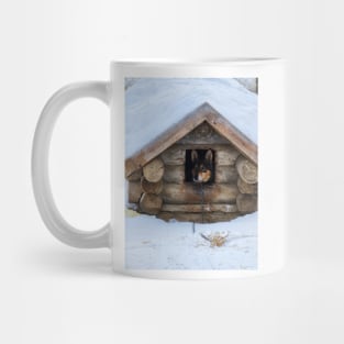 Lapland Mug